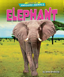 Elephant cover