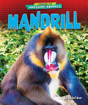 Mandrill cover