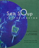 Sea Soup: Phytoplankton cover