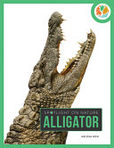 Alligator cover