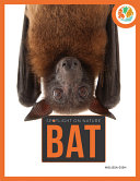 Bat cover