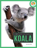 Koala cover
