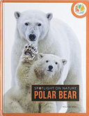 Polar Bear cover