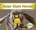 Asian Giant Hornet cover