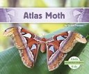 Atlas Moth cover