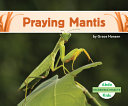 Praying Mantis cover