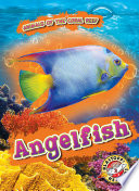 Angelfish cover