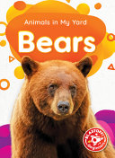 Bears cover