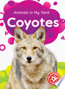 Coyotes cover