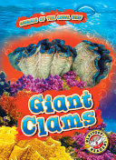 Giant Clams cover