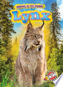 Lynx cover