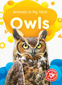 Owls cover