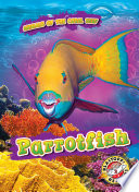 Parrotfish cover
