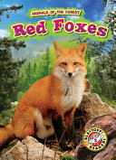 Red Foxes cover