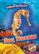 Sea Horses cover