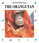 The Orangutan: Forest Acrobat cover