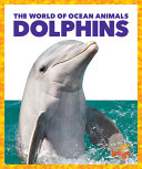 Dolphins (Jump!) cover