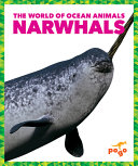 Narwhals cover