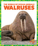 Walruses cover