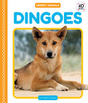 Dingoes cover