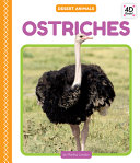 Ostriches cover
