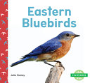 Eastern Bluebirds cover