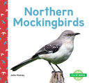 Northern Mockingbirds cover