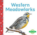 Western Meadowlarks cover