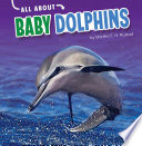 All About Baby Dolphins cover
