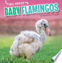 All About Baby Flamingos cover