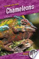 Chameleons cover