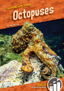 Octopuses cover