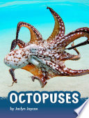 Octopuses cover