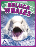 Beluga Whales cover