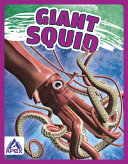 Giant Squid cover