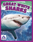 Great White Sharks cover