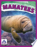 Manatees cover