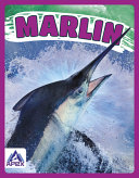 Marlin cover