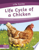 Life Cycle of a Chicken cover