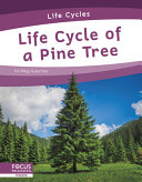 Life Cycle of a Pine Tree cover