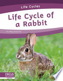 Life Cycle of a Rabbit cover