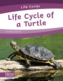 Life Cycle of a Turtle cover