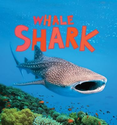 Whale Shark cover