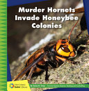 Murder Hornets Invade Honeybee Colonies cover