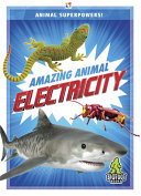 Amazing Animal Electricity cover