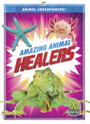 Amazing Animal Healers cover