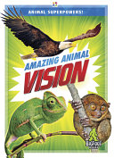 Amazing Animal Vision cover
