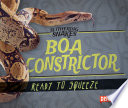 Boa Constrictor: Ready to Squeeze cover