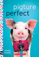 Pigture Perfect cover