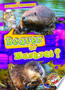 Beaver or Muskrat? cover